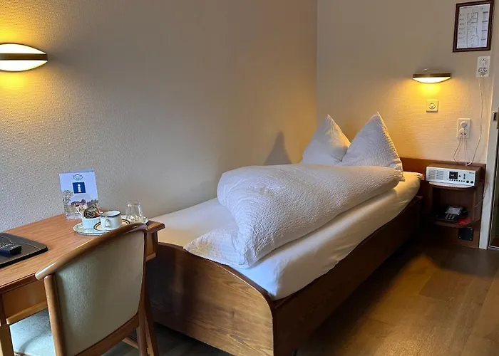 롯지 뒤 락 인터라켄